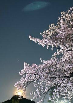 独り言？日記