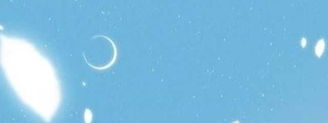 Airuさんの壁紙画像