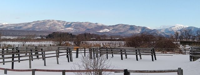 にゃんこさんの壁紙画像