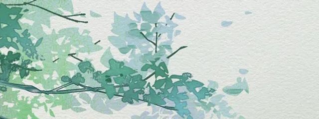 凛さんの壁紙画像