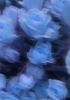   おともだち ぼしゅう