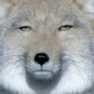 る。さんのアイコン画像