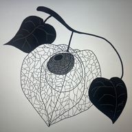 森藤ぜらさんのアイコン画像