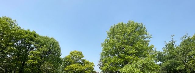 ガヴェイトさんの壁紙画像