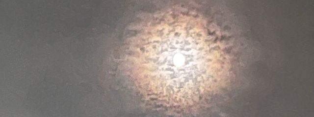 ネオモンスターさんの壁紙画像