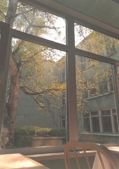 貴方のいちばんになりたい。/ kgm