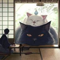 猫好きぴ(*ΦωΦ*)さんのアイコン画像