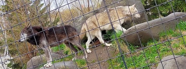 みに。@ログアウト済。さんの壁紙画像