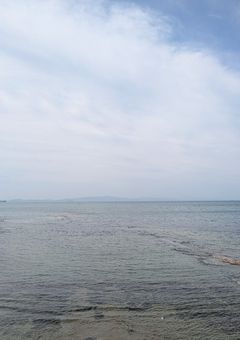 誰かの一番になりたい