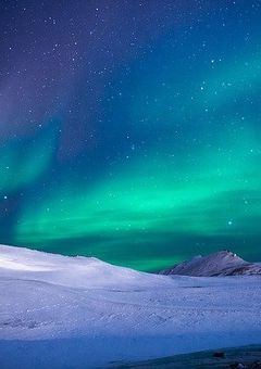 シルバーの悩み事