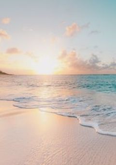 我らベーコンレタス親衛隊！