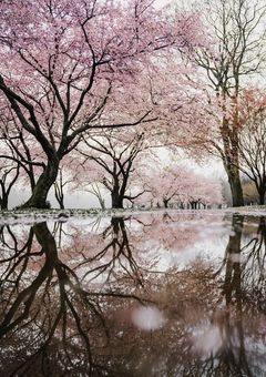 一番じゃなくでいいから側に居させて