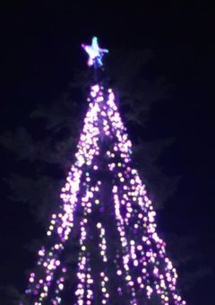 聖なる夜が気づかせてくれたもの🌠🎄