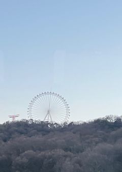 それでも、離れない。