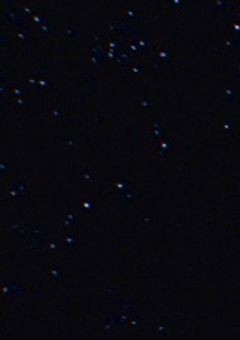 ぷりちゅーばー支援