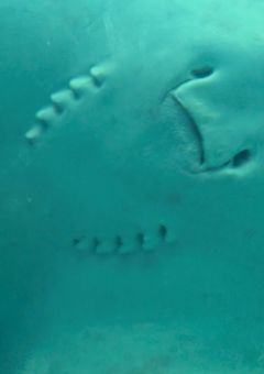 関係者様ぼしゅ‼️