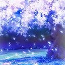 桜木美晶(🇯🇵)