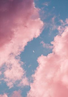 ひかりのあるばしょ