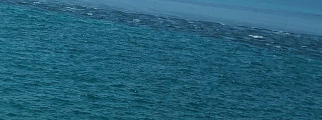 きゅうりの塩漬けさんの壁紙画像