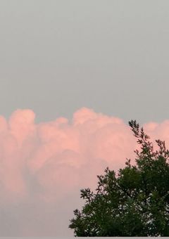 ex-）lover         #seventeen