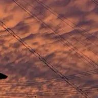 光さんのアイコン画像