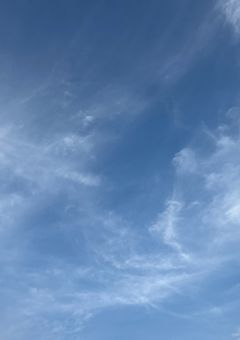 あなたの瞳と、明日の空を。