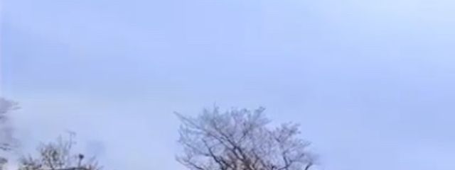 葵良さんの壁紙画像