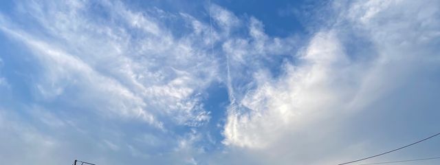かんづめさんの壁紙画像