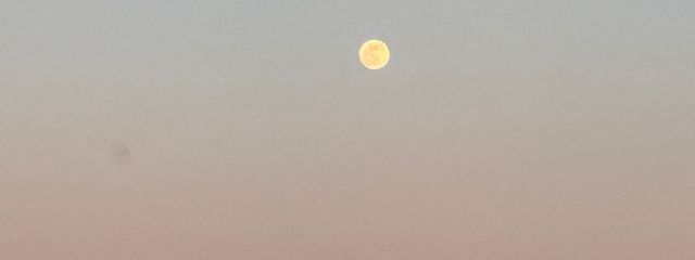 ココアシガレット中毒者(活動無期限停止中)さんの壁紙画像