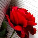 リドル・ローズハート