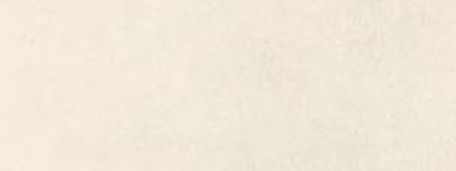 🍀ゆき🐤さんの壁紙画像