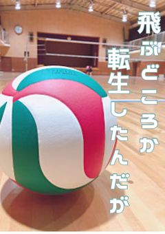 迷い猫は烏と共に