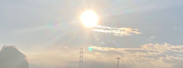 ぽんずさんの壁紙画像