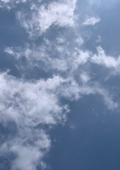 少女の決められた人生