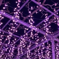 nemumiさんのアイコン画像