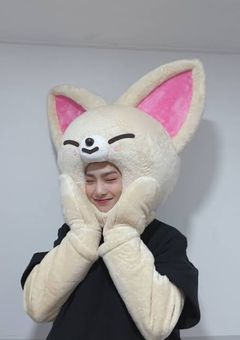 skzooのぬいぐるみが、、、