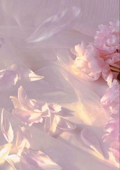 宣 伝 . 🕊 ͗ ͗〰︎︎♡