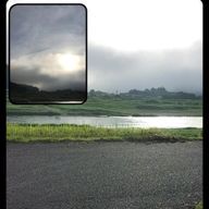 もりここ✨🔮さんのアイコン画像