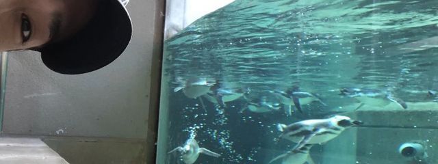 🐧さんの壁紙画像