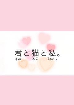 君と猫と私。