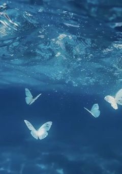 お友達募集_1%°＊<☆)