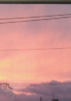 実写部屋！！（リア友は見るな????）