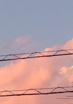今日も俺は〇〇の神に翻弄される