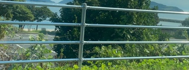 ( ・∇・)さんの壁紙画像