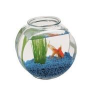   くら門 さんのアイコン画像