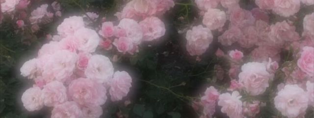 yukaさんの壁紙画像