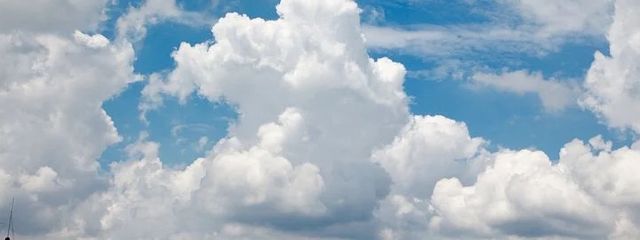 ٩( ᐛ )وさんの壁紙画像