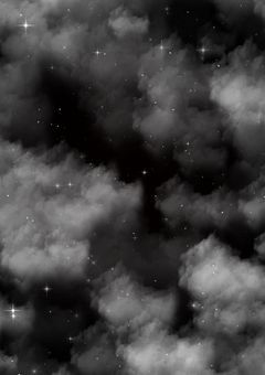 アイドル(也) ®️