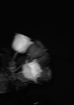 裏切り者には鉄槌を