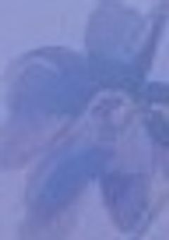 Unique jewelry stone【公式】